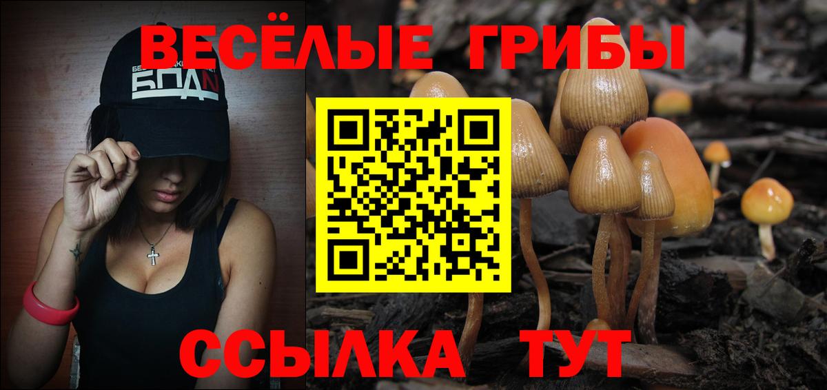 Галлюциногенные грибы GOLDEN TEACHER Петропавловск-Камчатский