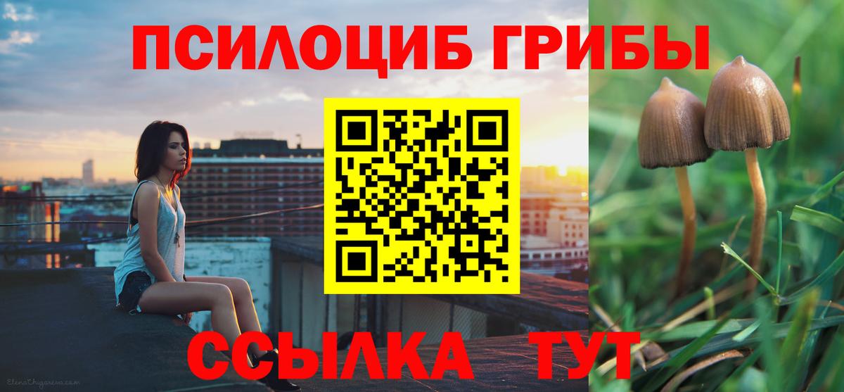Петропавловск-Камчатский  Галлюциногенные грибы прущие грибы  Вход с VPN 